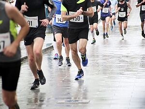 Agrandir l'image (fenêtre modale)