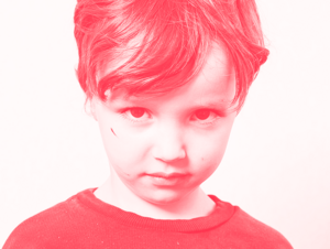 Agrandir l'image (fenêtre modale)