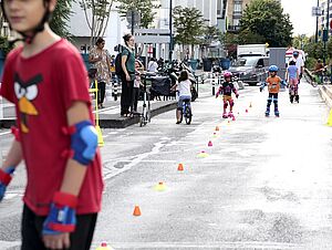 Agrandir l'image (fenêtre modale)