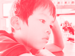 Agrandir l'image (fenêtre modale)