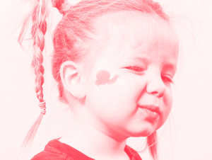 Agrandir l'image (fenêtre modale)