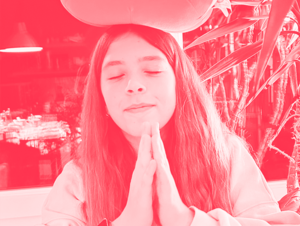 Agrandir l'image (fenêtre modale)