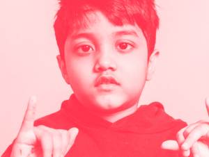 Agrandir l'image (fenêtre modale)