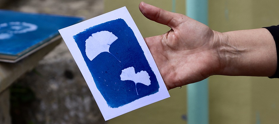 Photo représentant une gravure cyanotype
