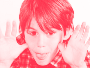 Agrandir l'image (fenêtre modale)