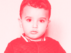 Agrandir l'image (fenêtre modale)