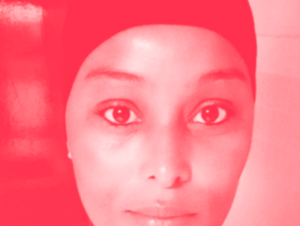 Agrandir l'image (fenêtre modale)