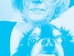 Agrandir l'image (fenêtre modale)