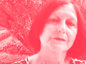 Agrandir l'image (fenêtre modale)