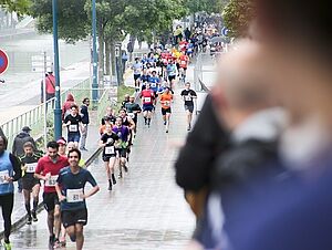 Agrandir l'image (fenêtre modale)